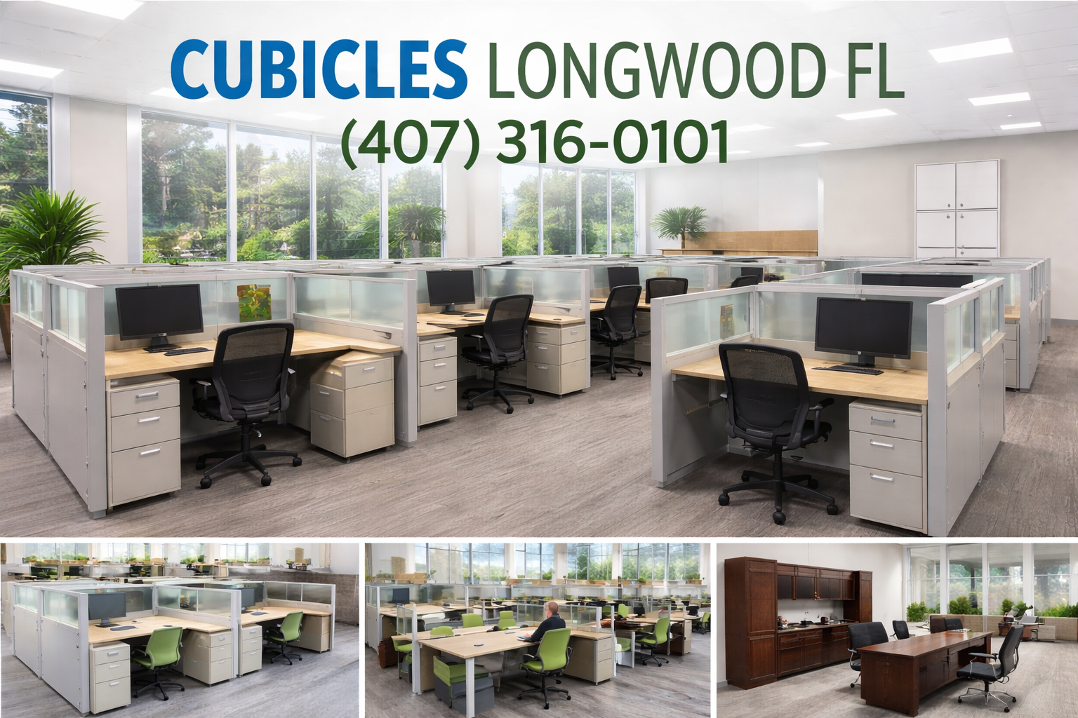 Cubicles in Longwood: Privacy and Productivity Without the Chaos