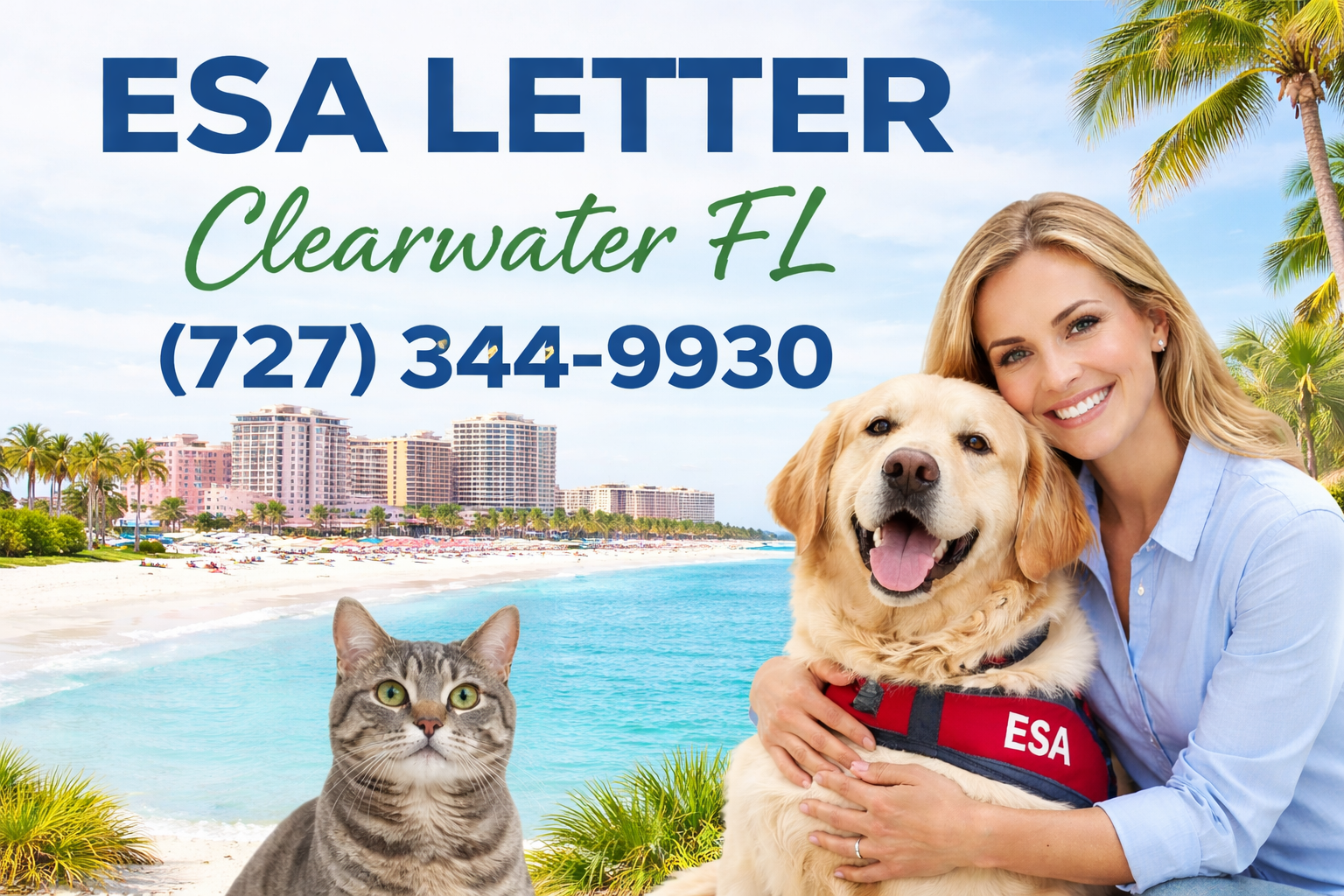 Get Your ESA Letter in Clearwater, FL—Virtually and Easily